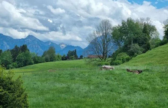 Gaestehaus Grieser